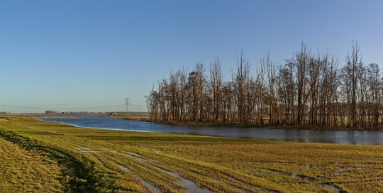 biesbosch hoogwater