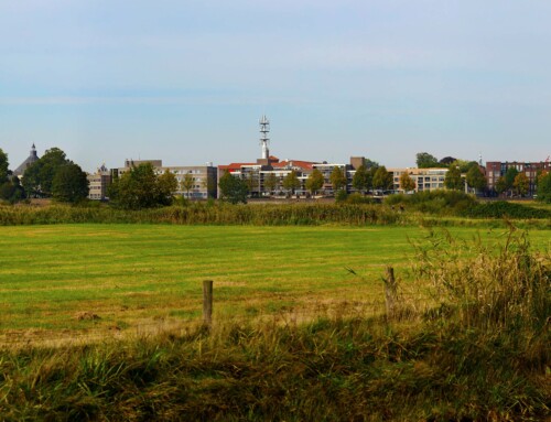 Den Bosch 3