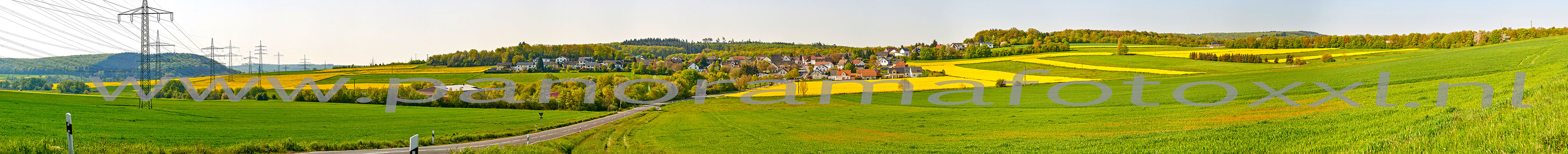 Koolzaadvelden in omgeving Pfalzfeld gefotografeerd