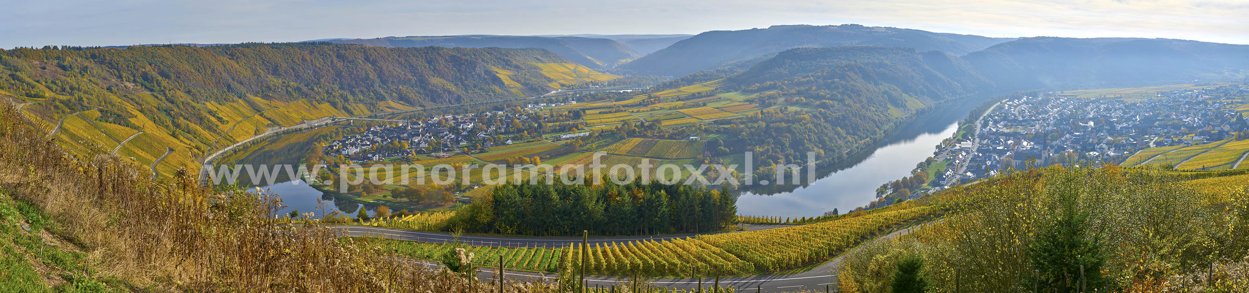 Herbst farben beim Mosel zwischen Cochem und Trittenheim. Bilder kann man vergroesseren von 1 bis 30 meter!