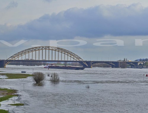 Hoog water in Nijmegen en Lent met nevengeul