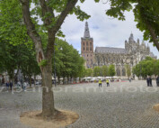 Sint Jans Kathedraal aan de parade in den Bosch 1