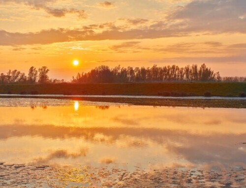 Biesbosch omgeving Deeneplaat zonsondergang