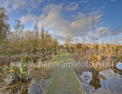 Biesbosch panorama bij de zwarte keet waar de griend is gekapt.Kan vergroot worden naar 15 x 6 meter!