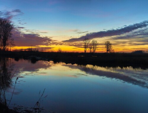 Indrukwekkende zonsondergang op één avond in de Biesbosch !