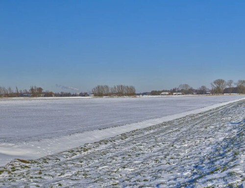 Mark tocht in de winter tussen Terheijden en Zevenbergen v.v. 12 en 14 februari 2021