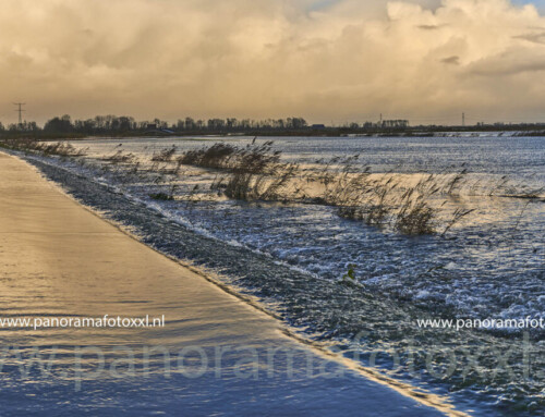 De Noorwaard / Biesbosch functioneert weer als overstroomgebied  op 24-11-2023