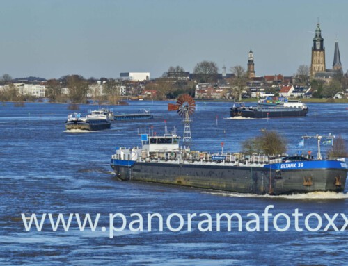 Gelderse IJssel met Zutphen op de achtergrond op 9 januari 2024 tijdens hoog water . 4 x opvaart  Eiltank 39 , Beneficio, Cura en Delftrans er tussen 1 x afvaart