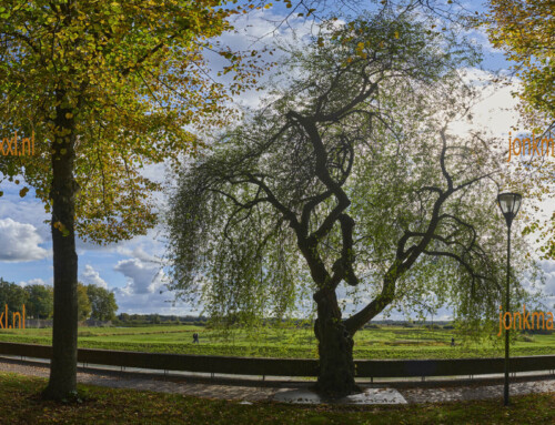 Den Bosch panoramafoto ( 30 mtr breed)  vanaf de zuidwal gefotografeerd : gezicht op Bossche Zuidbroek