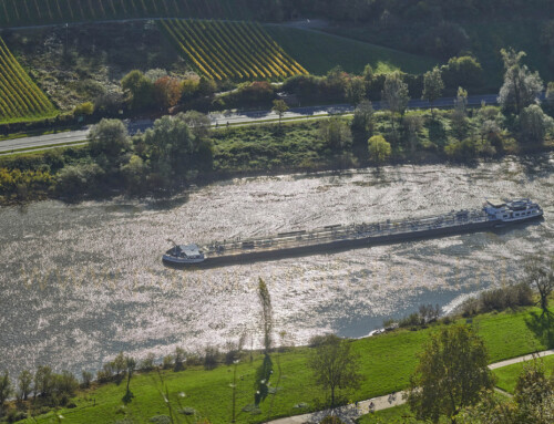 mts Vierwaldstättersee opvarend aan Valwig met herfsttinten