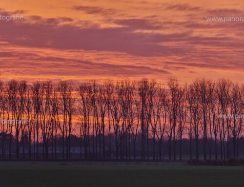 Zonsopkomst 23-11-2024 omgeving Dussen 08.00 u. en 08.30 u.