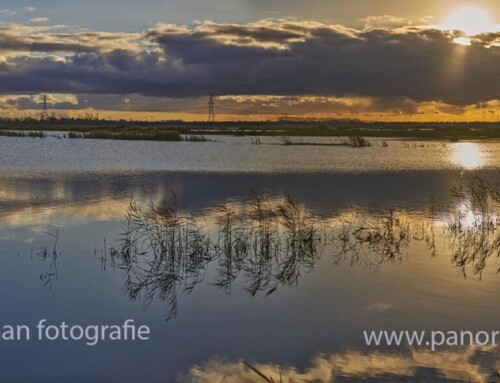 Biesbosch zonsondergang en panoramafoto’s overdag