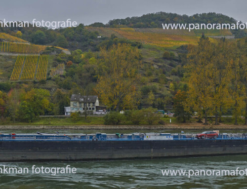 mts Liverpool afvarend Loreley in een panoramafoto met prachtige herfsttinten