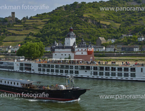 Kaub met 3 passagiersschepen aan de Pfalz in op en afvaart o.a Princesse Royal , S.S. Elisabeth en Viking Tialfi ( afvaart)