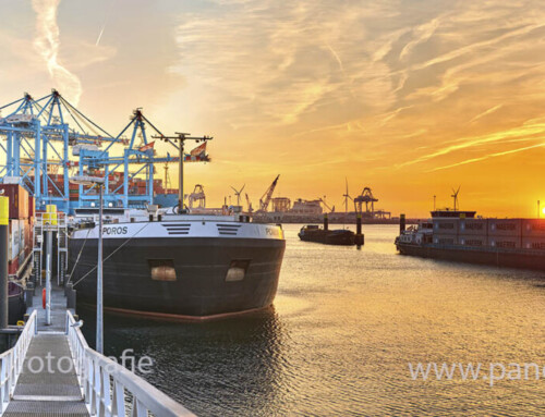 Maasvlakte op een mooie voorjaarsavond