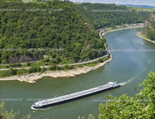 Panorama foto van mts Experience Delfia inland shipping opvarig Loreley aan de Betteck