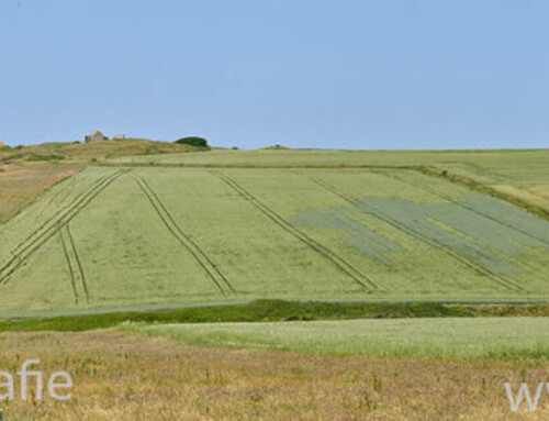 Wandeling langs de zee bij Audresselles over de kliffen