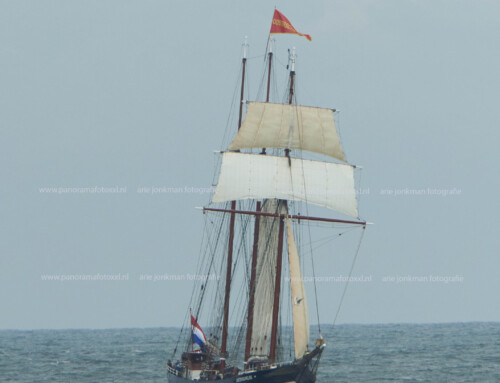 Driemasttopzeilschoener Oosterschelde Oosterschelde loopt binnen bij Hoek van Holland