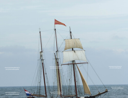 Driemastzeilschoener Oosterschelde na 2 jaar weer terug van Darwin reis