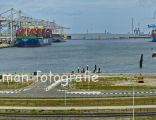 Panorama maasvlakte