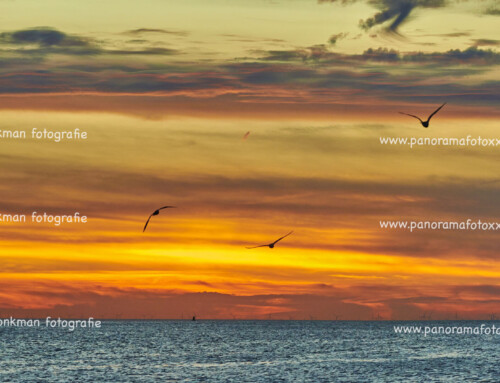 Vlissingen zaterdagavond 06-09 prachtige zonsondergang