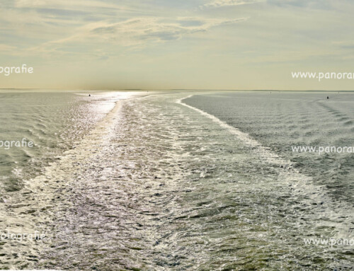 Waddenzee :Harlingen Terschelling  v.v. prachtige tocht van 2 uur met Doeksen deel 2