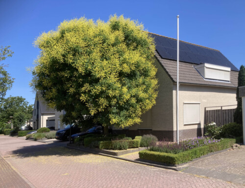 Huis te koop : klik op de link ( huis klein overzicht) boven of onder de foto en een beknopt overzicht van het huis zal af gespeeld worden