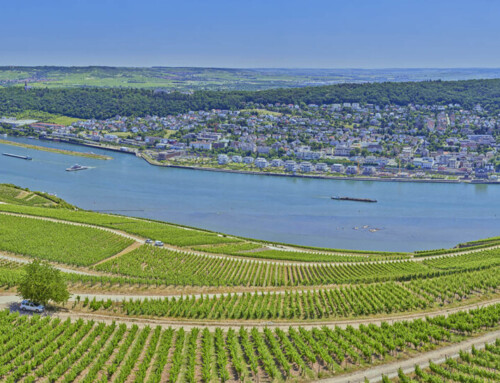 Denkmal am Rudesheim und panorama auf Bingen und Rudesheim