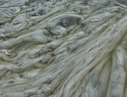 Biesbosch in winterse sfeeren met bijzonder beeld van ijsvorming