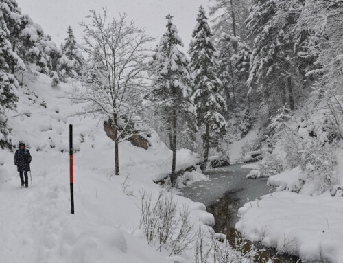 Sneeuw panoramafoto’s in Mittenwald bij het Laintal