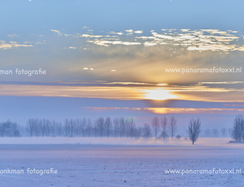 Besneeuwd landschap in de mist met de opkomende zon omgeving  Andel en Wijk en Aalburg