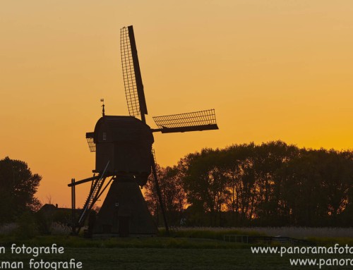 Panorama van de Noordeveldse Molen aan de Korn in Dussen in tegenlicht