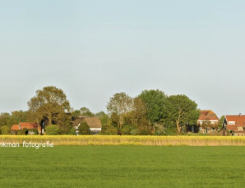 Panorama van Uppel met koolzaadveld kan vergroot worden van 1 tot 30 meter op pvc doek/behang op 1 rol  !