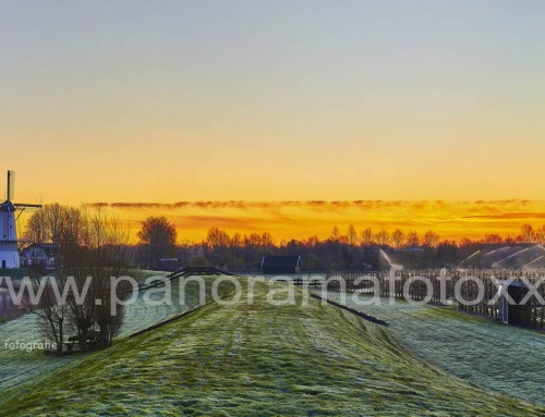 Bloesem in Deil wordt besproeid waardoor het ijslaagje de bloesems tot wel -8 graden kan beschermen tegen bevriezing