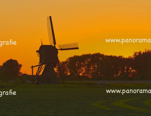 De Noordeveldse Molen in Dussen is een wipwatermolen van de allergrootste soort in de ondergaande zon